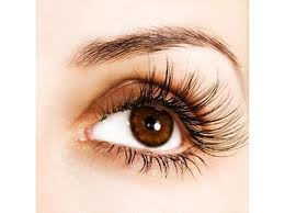 Eyelash & Eyebrow Growth Treatment by EYELASH CANADA 