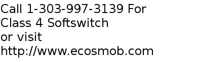 Class 4 Softswitch Development Services