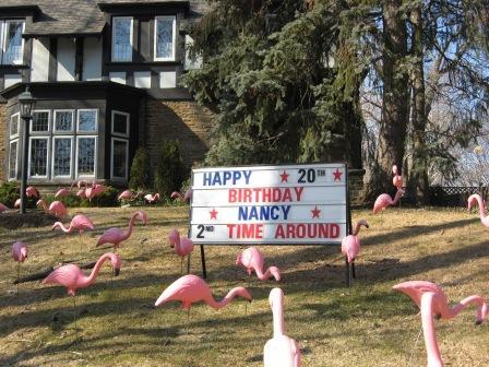 Flamingo lawn  decorations  birthday  anniversary Toronto