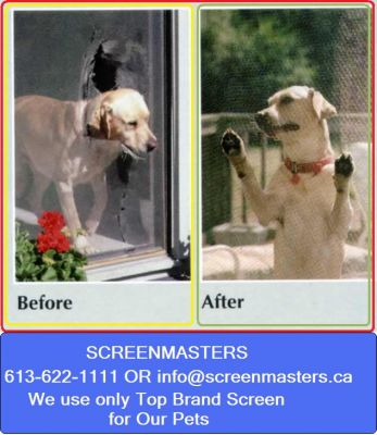 Patio Door Screen RepairsScreenmasters  613-622-1111 office 613-315-4100 cell Email: info@screenmast