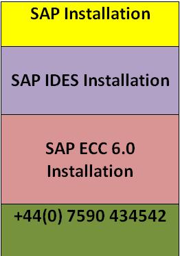 SAP Ides Installation | SAP Remote Access | SAP Installation in Central London