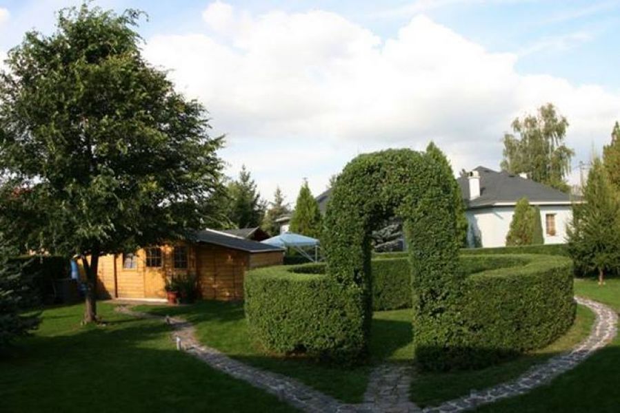 Privacy Hedges for Sale