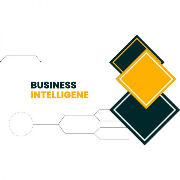 Business Intelligence Course