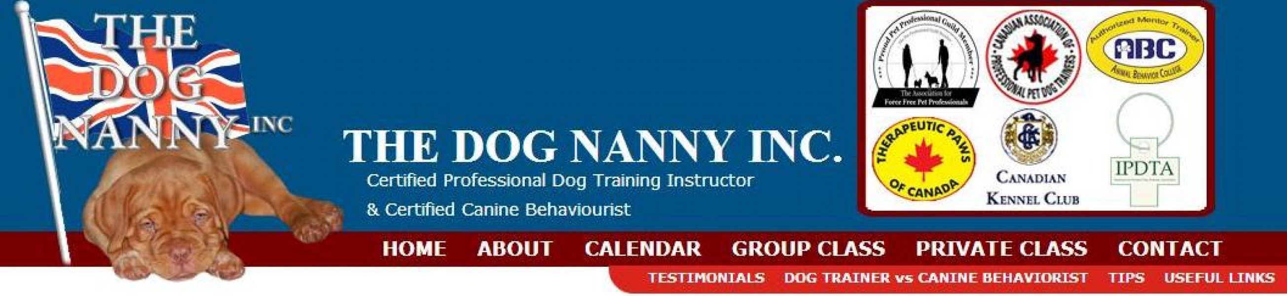 Dog Training All Levels Obedience 