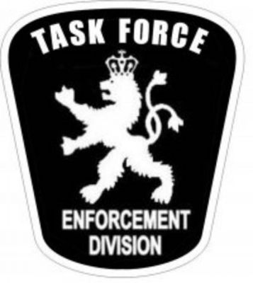 Event Security Guard Services - Task Force Security